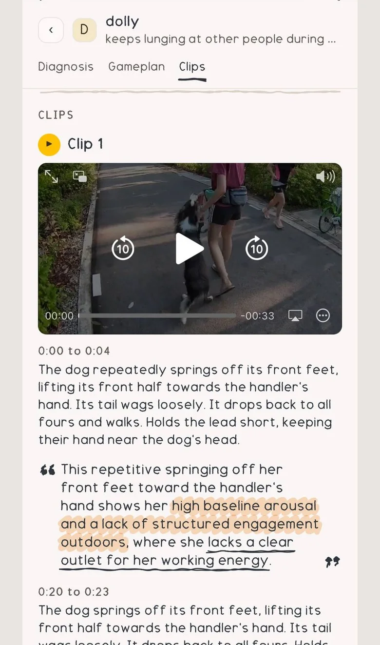 The clips tab: the owner's video with the trainer's notes, second by second