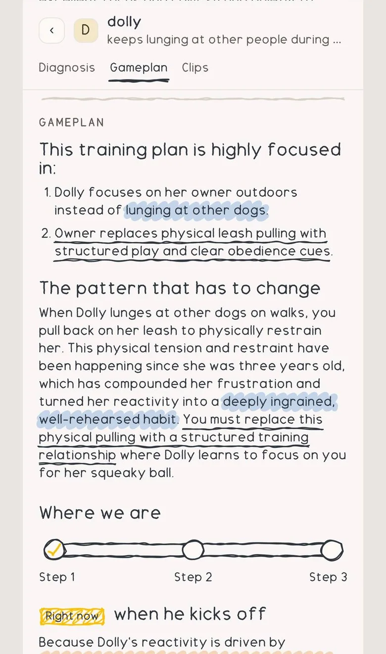The gameplan tab: what the training plan focuses on, and the pattern that has to change